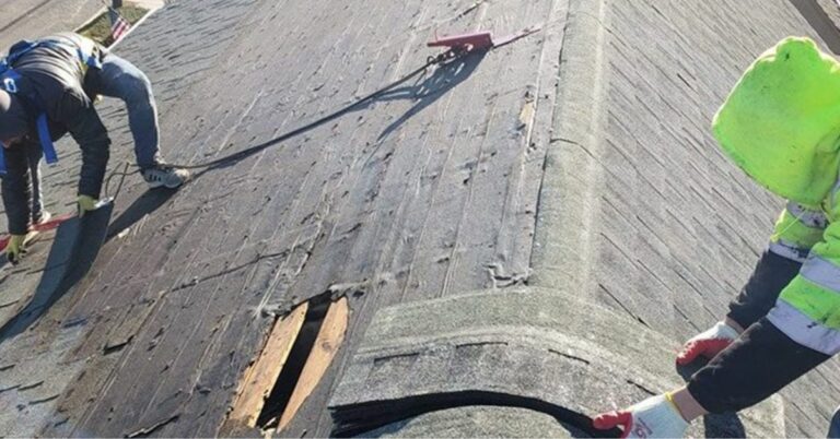 Roofing in Bronx: Your Complete Guide to Quality Roof Services